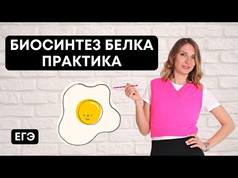 Видео: Биосинтез белка. Практика