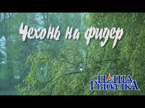 Видео: Фильм 5. Чехонь на фидер
