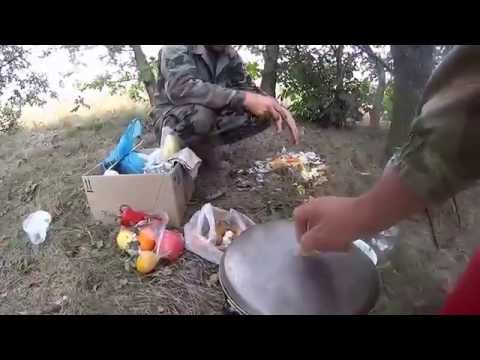 Видео: ГОЛУБИННАЯ ШУРПА