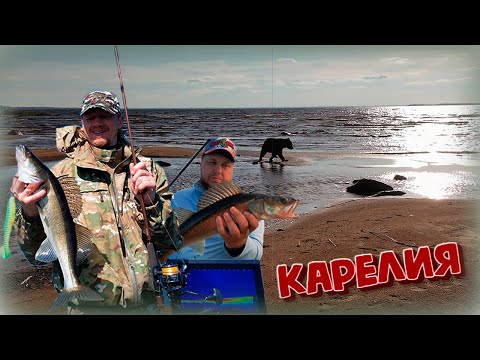 Видео: Рыбалка в Карелии на Сямозере. Нападение медведя. Стуканул двигатель на прадике.