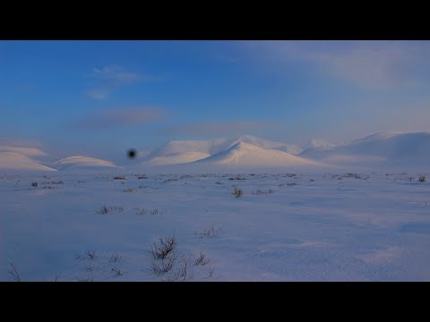 Видео: Полярный Урал. Лыжный поход 3кс-4кс