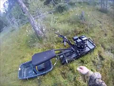 Видео: Тофалар-мини на моховом болоте