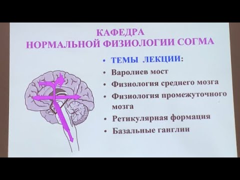 Видео: Часть2•Варолиев мост•Физиология среднего мозга•Физиология промежуточного мозга•Ретикулярная формация