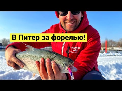 Видео: Впервые в Петербурге! За красотой и форелью!