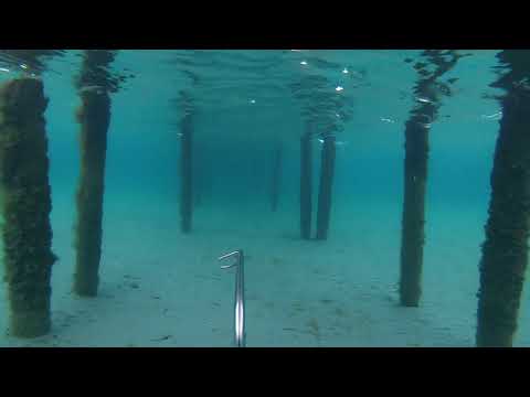 Видео: подводная охота чёрное море.