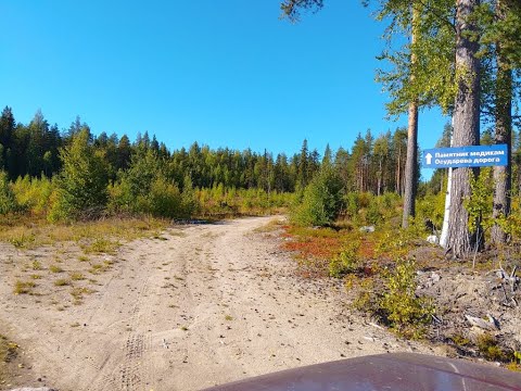 Видео: Южная часть Осударевой дороги. Сентябрь 2025.