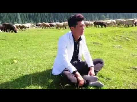 Видео: Сушы қыздың жамалы-ай! Саламат Болат ұлы ең керемет Қазақша әндер