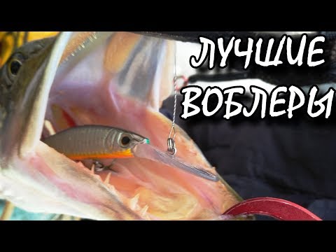 Видео: Лучшие воблеры на щуку! Воблеры истребители 2019!