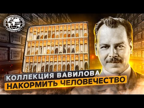 Видео: Коллекция Вавилова. Накормить человечество | @rgo_films