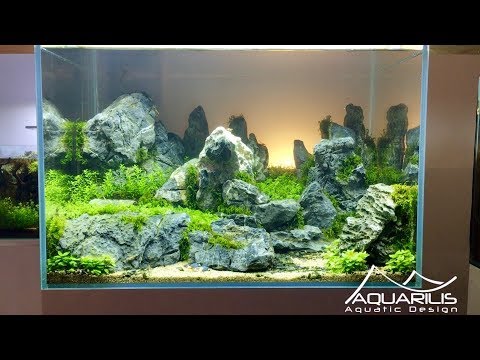 Видео: Aquascape «Sunset» - декор аквариума Лорана Гарсия, Aquarilis