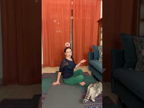 Видео: Ulmasyoga в прямом эфире!