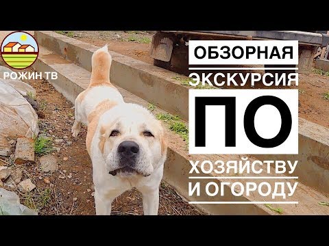 Видео: ОБЗОР ХОЗЯЙСТВА АВГУСТ 2019🐾🐶🐥🐷🐂