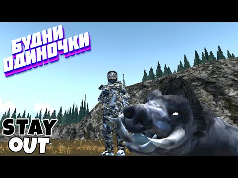 Видео: 🔴Свинорез с карабином-возвращение🎃Велесова ночь🎃Сталкер онлайн🎃StayOut🎃Steam EU-1