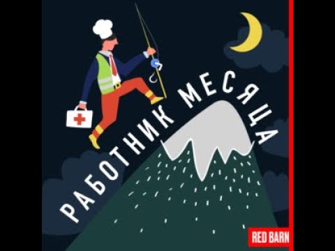 Видео: QA Куратор