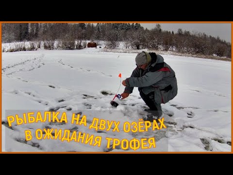 Видео: РЫБАЛКА НА ДВУХ ОЗЁРАХ. ЛОВИМ ЩУКУ.