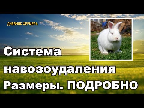 Видео: Система навозоудаления фундаментно-бетонные работы.