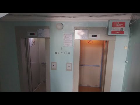 Видео: [Лифты в моем доме 🏠 🔼]Лифты ЩЛЗ 2010,2012г.в.