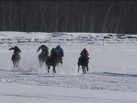 Видео: Ат сүүрдүүтэ. Баайаҕа Таатта улууһа. 2009