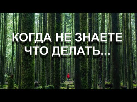 Видео: КОГДА НЕ ЗНАЕТЕ ЧТО ДЕЛАТЬ [Э. Толле, озв. Никошо]