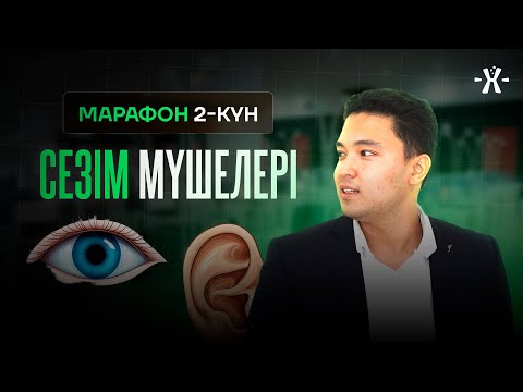 Видео: СЕЗІМ МҮШЕЛЕРІ | БИОЛОГИЯ ҰБТ 2026 | БЕРІК АҒАЙ