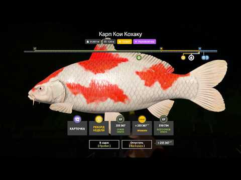 Видео: ЛУЧШИЕ РАЗДАЧИ и ФАРМ СЕРЕБРА в РР4 • ФАРМ на МЕДНОМ в ПОВЫШЕННУЮ ТЕМПЕРАТУРУ + ОСЕТР и ЯМА на МАТЧ!