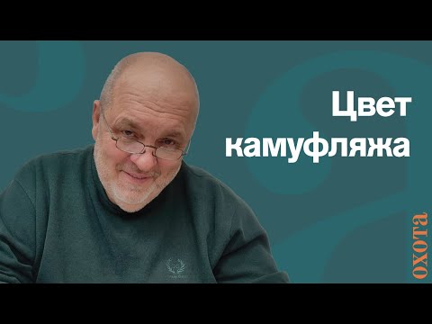 Видео: Цвет камуфляжа. Валерий Кузенков о важности маскировки.