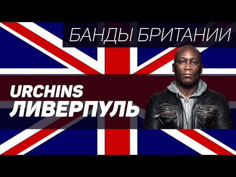 Видео: Urchins (Ливерпуль)