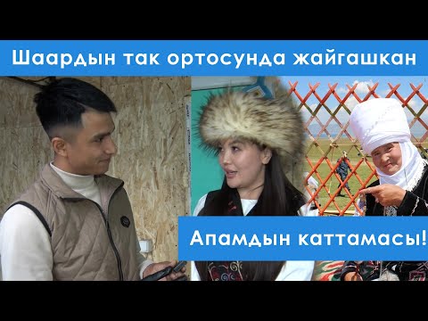 Видео: Шаардын так ортосунда жайгашкан Апамдын каттамасы