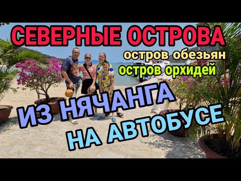 Видео: Без турагента! Как попасть на острова орхидей и обезьян. Нячанг Вьетнам. Северные острова. Часть 1