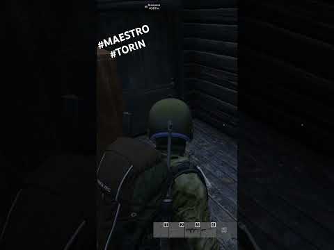 Видео: Начало выживания в Dayz #maestro #torin #выживание #игры #музыка