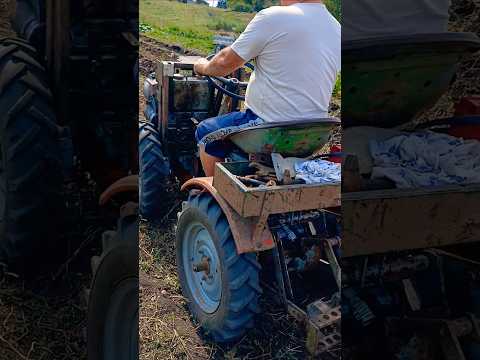 Видео: Чезет капаем картофель (2025)