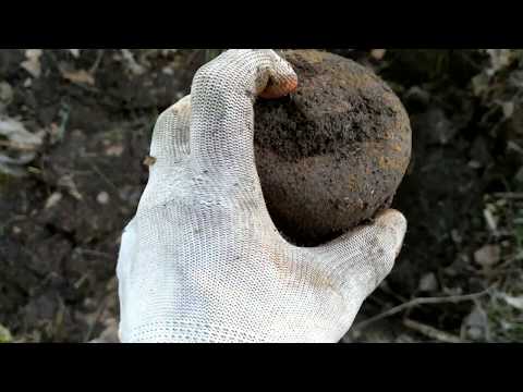 Видео: Тест металлоискателя Клон Pi avr, радует!