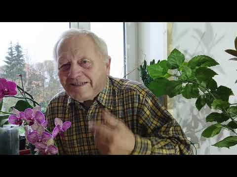 Видео: Сто секретов выращивания сладких томатов по Распопову, что можно, а что не стоит применять в РЗ
