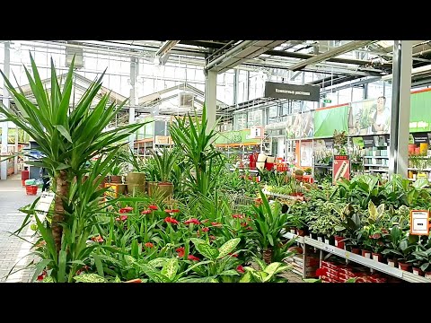 Видео: 🌿Оби🍃Цветочная Красота❤🍃