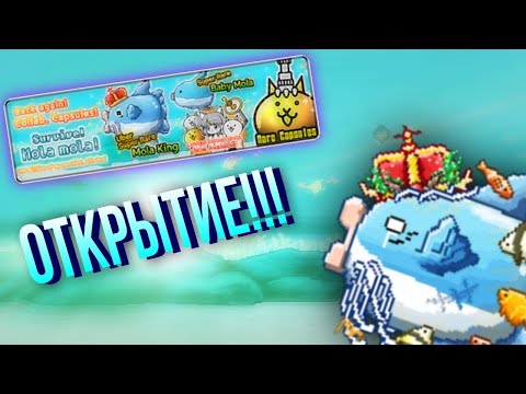 Видео: Открытие на Survive! Mola Mola! | Открытие на коллабе | The Battle Cats
