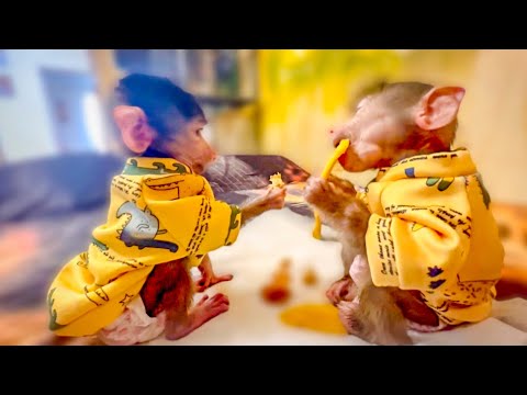 Видео: Мы поздравили Олега Зубкова с Юбилеем! Степашка и Маняшка как ДВА СОЛНЫШКА в одинаковых нарядах!