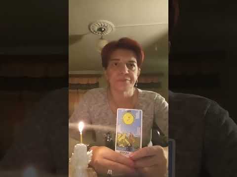 Видео: #таро 🪬🍀💐Честный разговор его сердца‼️🌾🌟💯🌿