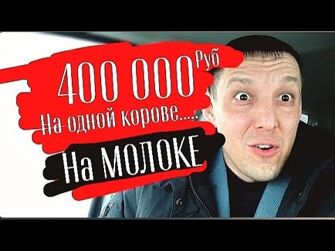 Видео: МОЛОКО Самый лучший бизнес? Как купить КРС молочный? Сколько можно заработать на молоке уже сейчас?