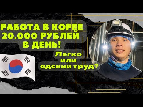 Видео: Работа в Корее за 20.000р в день