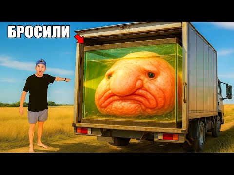 Видео: Я спас брошенную рыбу от гибели...