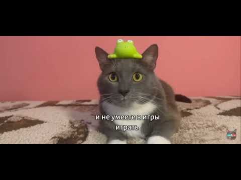 Видео: котинет 9 серия 1 сезон игра в двери