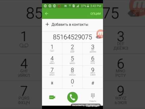 Видео: Звонок людям😅