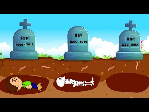 Видео: Что будет с телом после смерти?