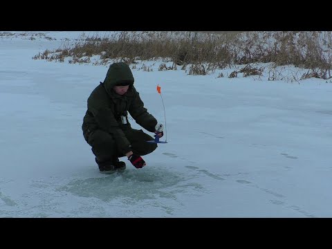 Видео: ПЕРВЫЙ ЛЁД 2024 - 2025. Жор щуки, загар жерлиц одна за одной