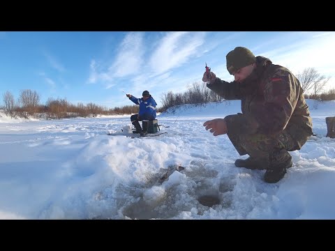 Видео: Рыбалка зимой. Больше сотни рыб за несколько часов. Ловля окуня на блесну.