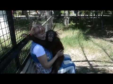 Видео: Дана открывает фото-сезон в Тайгане!