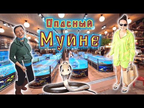 Видео: Вьетнам!!! Прогулка по рыбацкой деревне Муйне!!! Рестораны, еда, цены и ВСТРЕЧА С КОБРОЙ!!!
