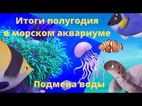 Видео: Часть 6 Итоги полугодия в морском аквариуме