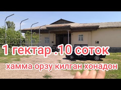 Видео: Дахашат катта Уй сотилади