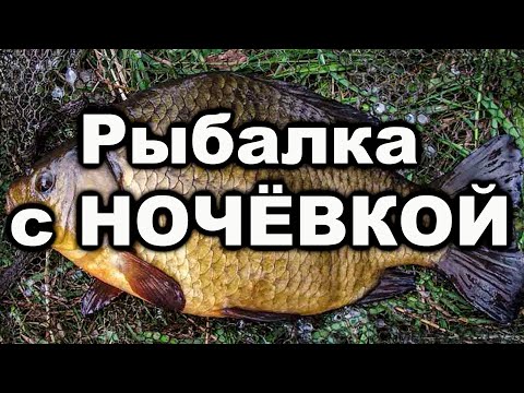 Видео: #рыбалка Рыбалка с НОЧЁВКОЙ